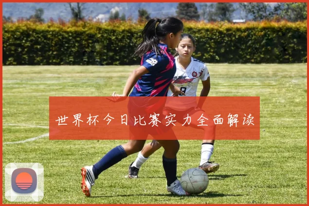 世界杯今日比赛实力全面解读