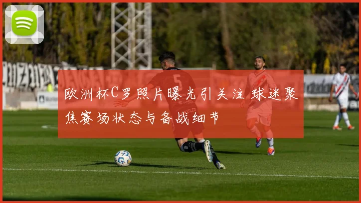 欧洲杯C罗照片曝光引关注 球迷聚焦赛场状态与备战细节